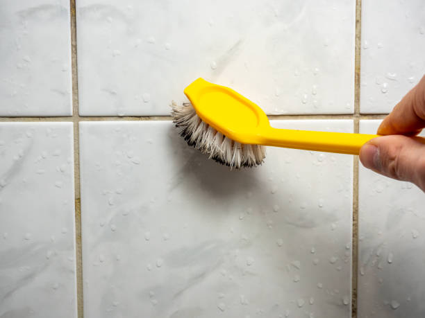 Professional Mold Removal in Lemoore, CA