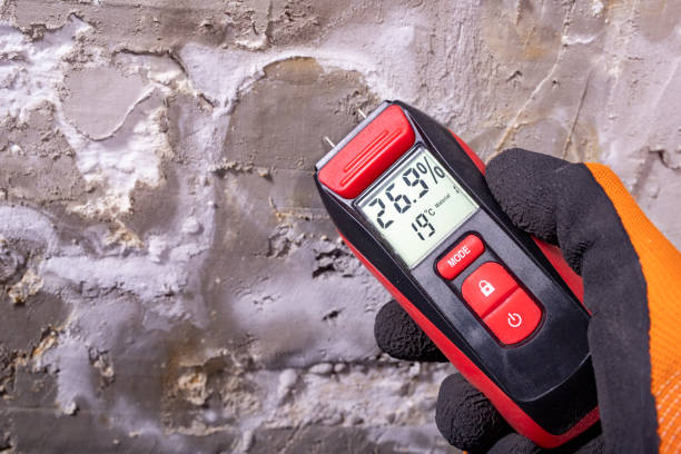 Best Mold Testing  in Lemoore, CA