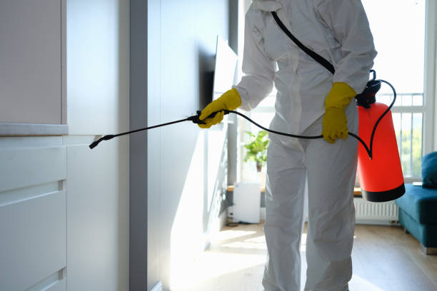 Best Mold Remediation  in Lemoore, CA