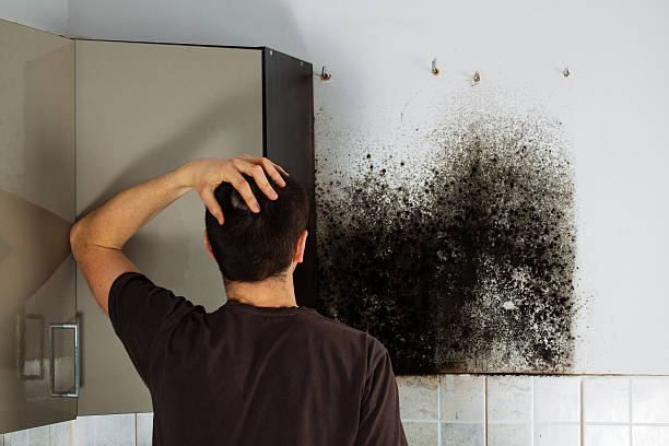 Best Black Mold Removal  in Lemoore, CA