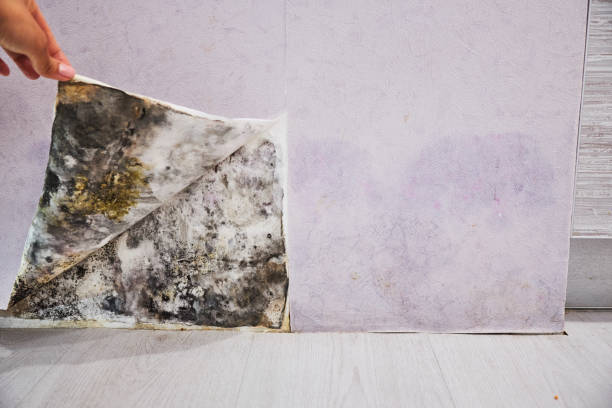 Water Damage Restoration in Lemoore, CA